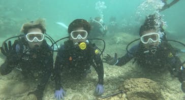 武藤潜水に投稿された画像（2024/8/27）