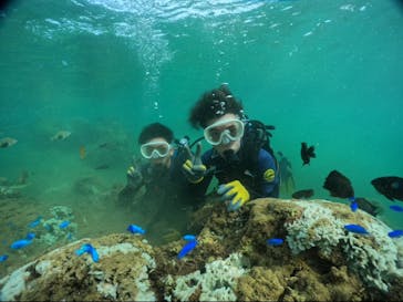 武藤潜水に投稿された画像（2024/8/27）