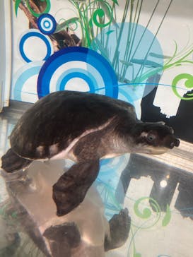 NARA IKIMONO MUSEUMに投稿された画像（2024/8/27）