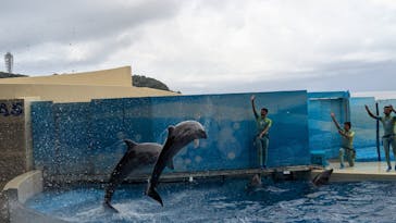 新江ノ島水族館に投稿された画像（2024/8/27）