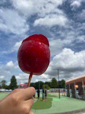 加須はなさき水上公園（埼玉県公園緑地協会）に投稿された画像（2024/8/27）