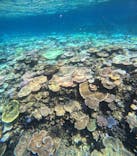 西表島 ADVENTURE PiPi（アドベンチャーピピ）に投稿された画像（2024/8/27）