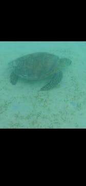 オーシャンスタイルに投稿された画像（2024/8/27）