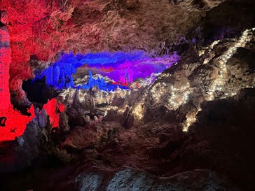 石垣島鍾乳洞に投稿された画像（2024/8/27）