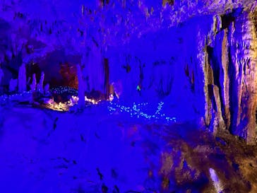 石垣島鍾乳洞に投稿された画像（2024/8/27）