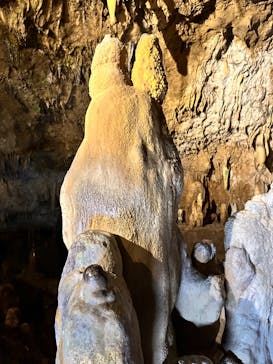 石垣島鍾乳洞に投稿された画像（2024/8/27）