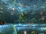 しながわ水族館に投稿された画像（2024/8/27）