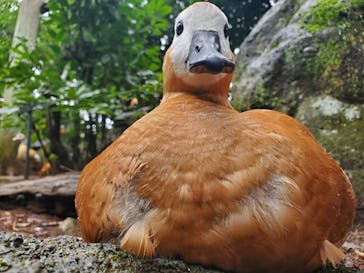伊豆シャボテン動物公園に投稿された画像（2024/8/27）