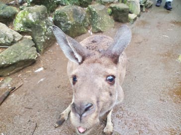 伊豆シャボテン動物公園に投稿された画像（2024/8/27）