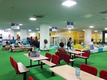 キッズランドUS 千葉柏店に投稿された画像（2024/8/27）