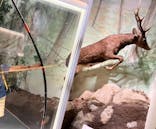 滋賀県立琵琶湖博物館に投稿された画像（2024/8/27）