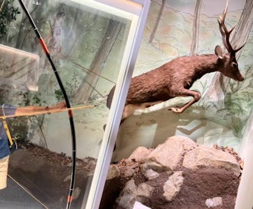 滋賀県立琵琶湖博物館に投稿された画像（2024/8/27）