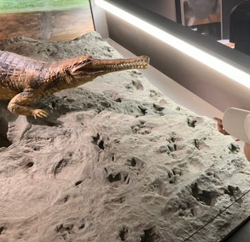 滋賀県立琵琶湖博物館に投稿された画像（2024/8/27）