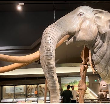 滋賀県立琵琶湖博物館に投稿された画像（2024/8/27）