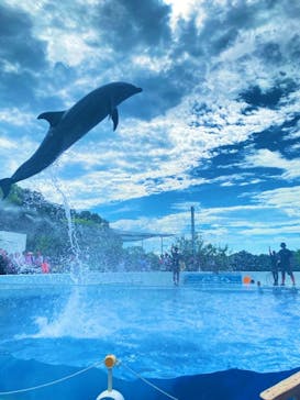 九十九島パールシーリゾートに投稿された画像（2024/8/27）