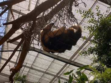 神戸どうぶつ王国に投稿された画像（2024/8/27）