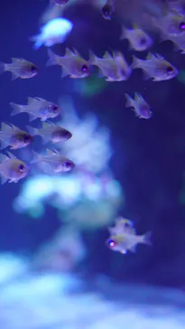 すみだ水族館に投稿された画像（2024/8/27）