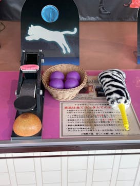 東武動物公園に投稿された画像（2024/8/27）