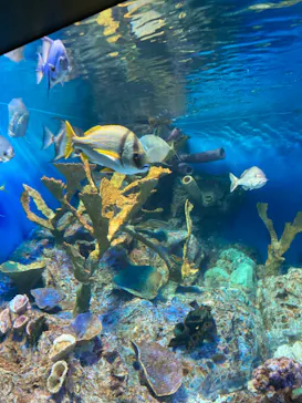 サンシャイン水族館に投稿された画像（2024/8/27）