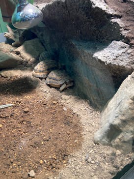 サンシャイン水族館に投稿された画像（2024/8/27）