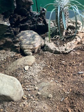 サンシャイン水族館に投稿された画像（2024/8/27）