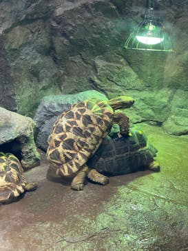 サンシャイン水族館に投稿された画像（2024/8/27）