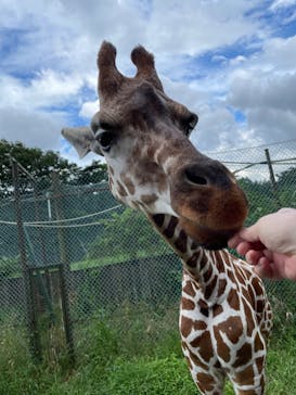 那須サファリパークに投稿された画像（2024/8/27）