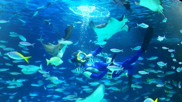 サンシャイン水族館に投稿された画像（2024/8/27）
