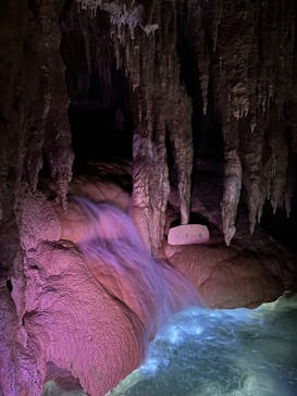 おきなわワールドに投稿された画像（2024/8/27）