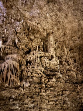 おきなわワールドに投稿された画像（2024/8/27）