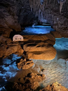 おきなわワールドに投稿された画像（2024/8/27）