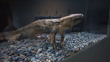 AOAO SAPPOROに投稿された画像（2024/8/27）