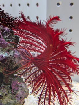 AOAO SAPPOROに投稿された画像（2024/8/27）