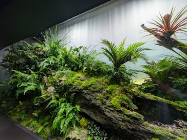 AOAO SAPPOROに投稿された画像（2024/8/27）