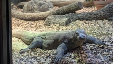 名古屋市東山動植物園に投稿された画像（2024/8/27）