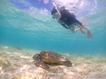 元気玉に投稿された画像（2024/8/27）