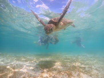 元気玉に投稿された画像（2024/8/27）