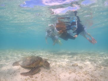 元気玉に投稿された画像（2024/8/27）