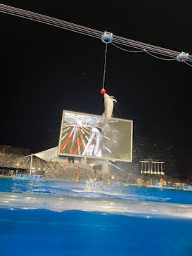 名古屋港水族館に投稿された画像（2024/8/27）