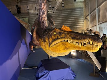 巨大恐竜展2024に投稿された画像（2024/8/27）