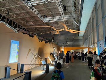 巨大恐竜展2024に投稿された画像（2024/8/27）