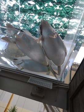 サンシャイン水族館に投稿された画像（2024/8/27）