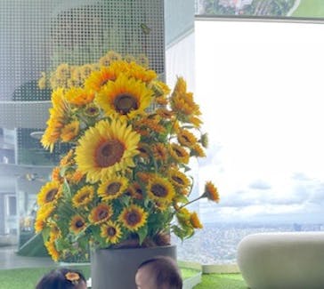 サンシャイン60展望台に投稿された画像（2024/8/27）