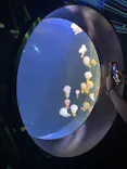 仙台うみの杜水族館に投稿された画像（2024/8/28）