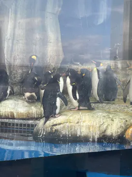 仙台うみの杜水族館に投稿された画像（2024/8/28）