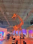 巨大恐竜展2024に投稿された画像（2024/8/28）