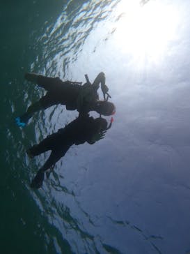 宮古島 ADVENTURE PiPi（ミヤコジマ アドベンチャー ピピ）に投稿された画像（2024/8/28）