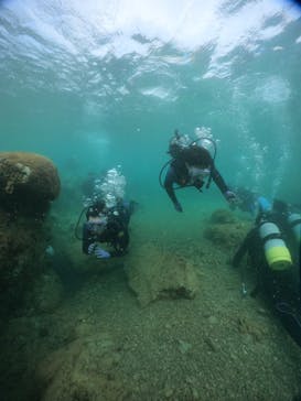 武藤潜水に投稿された画像（2024/8/28）