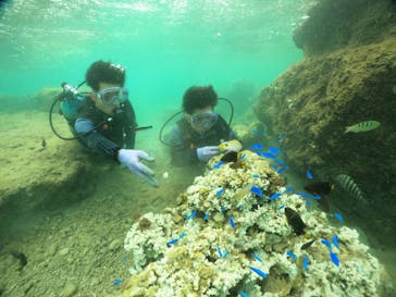 武藤潜水に投稿された画像（2024/8/28）