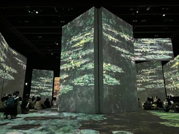 モネ＆フレンズ・アライブに投稿された画像（2024/8/28）